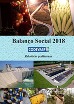 capa balanço social 2018 - relatório preliminar.png