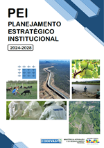 capa-pei-2024-2028.png