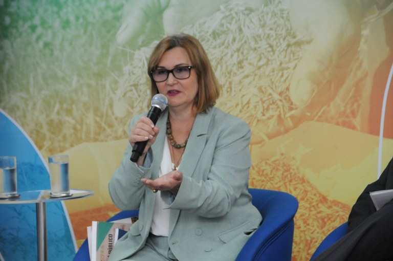 Painel 2 - O papel da Alta Administração e das instâncias de Governança na Sustentabilidade