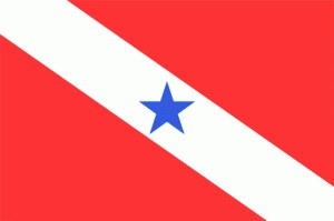 Bandeira PA