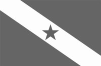 Bandeira_PA_cinza
