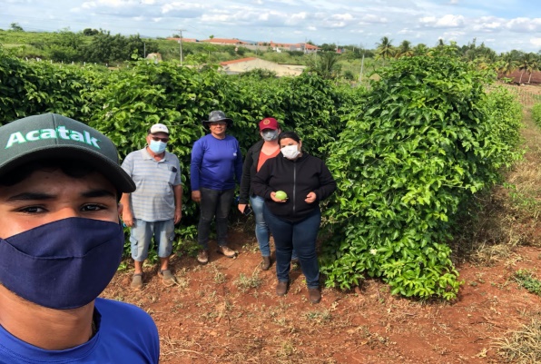 Figura 1 - Visita técnica ao produtor para orientação sobre o manejo de pragas e doenças. Fonte - CODEVASF-DIJAC.jpg
