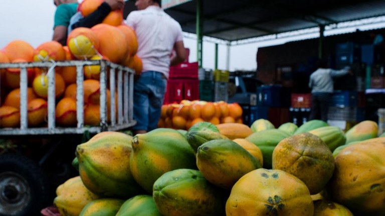 mercado produtor.jpg