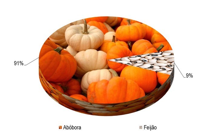 Gráfico 1 - Principal espécie cultivada no projeto Baixio de Irecê, de acordo com o VBP, no ano de 2023.png Gráfico 1 - Principal espécie cultivada no projeto Baixio de Irecê, de acordo com o VBP, no ano de 2023.png