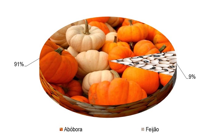 Gráfico 1 - Principal espécie cultivada no projeto Baixio de Irecê, de acordo com o VBP, no ano de 2023.png