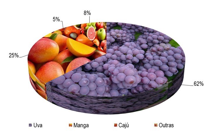Gráfico 1 - Principais espécies cultivadas no projeto Bebedouro, de acordo com o VBP, no ano de 2023.png