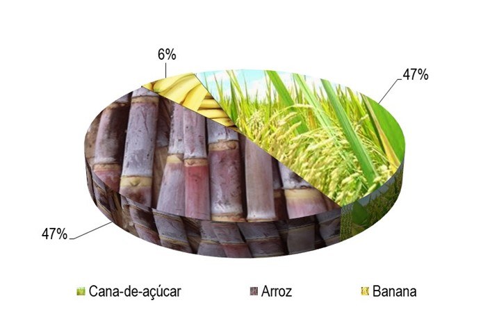 Gráfico 1 - Principais espécies cultivadas no projeto Boacica, de acordo com o VBP, no ano de 2023.png