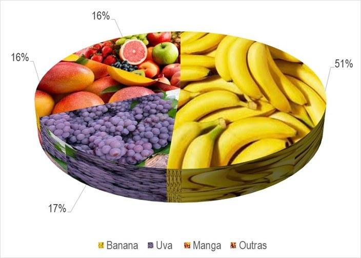 Gráfico 1 - Principais espécies cultivadas no projeto Ceraíma, de acordo com o VBP, no ano de 2023.png