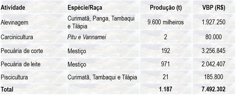 Tabela 1 – Espécie, produção e VBP da aquicultura e da bovinocultura no ano de 2023.png