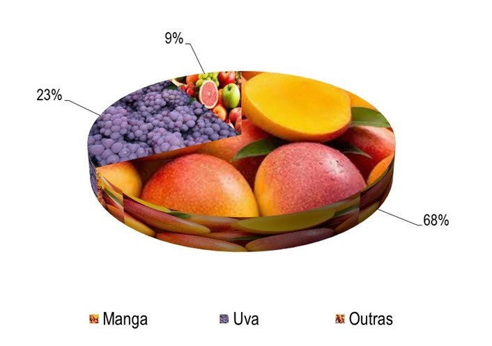 Gráfico 1 - Principais espécies cultivadas no projeto Curaçá, de acordo com o VBP, no ano de 2023.png