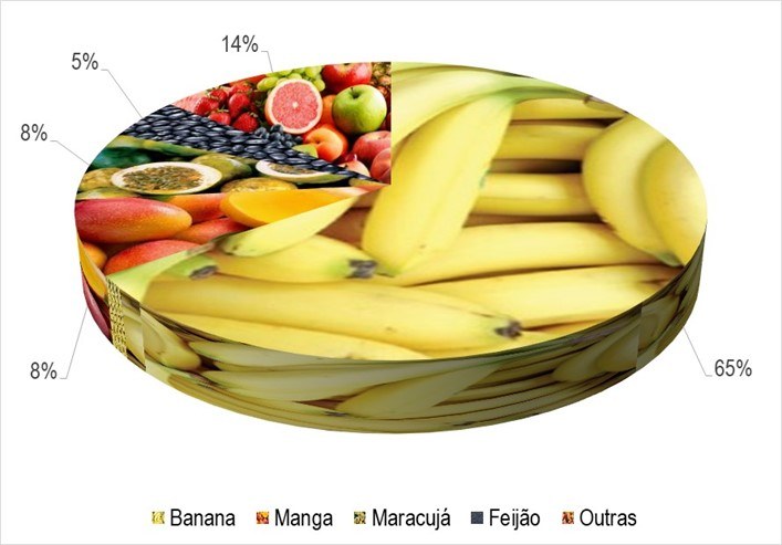 Gráfico 1 - Principais espécies cultivadas no projeto Estreito, de acordo com o VBP, no ano de 2023.png