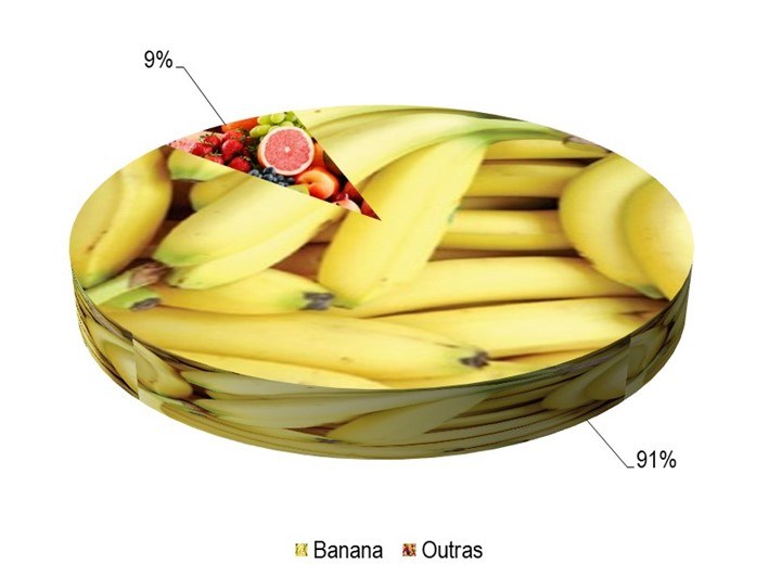 Gráfico 1 - Principais espécies cultivadas no projeto Formoso, de acordo com o VBP, no ano de 2023.png