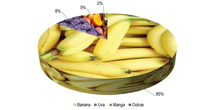 Gráfico 1 - Principais espécies cultivadas no projeto Gorutuba, de acordo com o VBP, no ano de 2023.png
