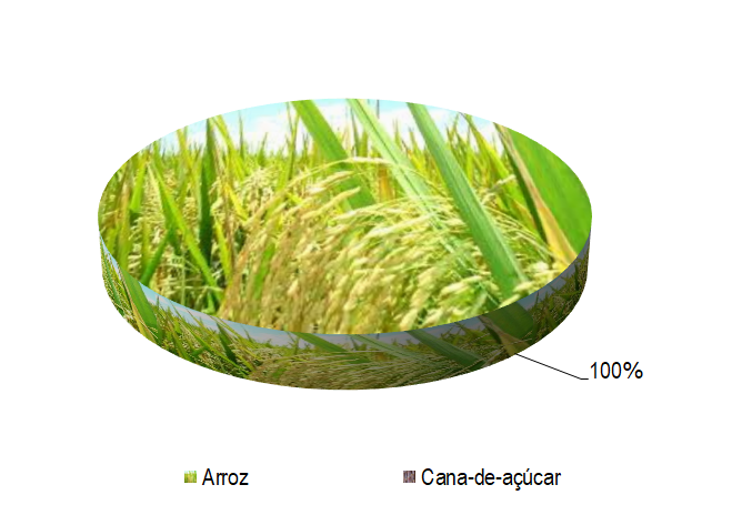 Gráfico 1 - Principais espécies cultivadas no projeto Itiúba, de acordo com o VBP, no ano de 2022.png Gráfico 1 - Principais espécies cultivadas no projeto Itiúba, de acordo com o VBP, no ano de 2022.png