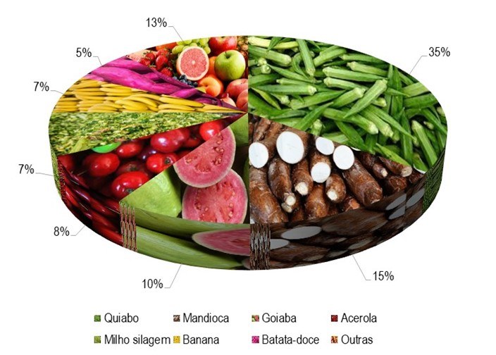 Gráfico 1 - Principais espécies cultivadas no projeto Jacaré-Curituba, de acordo com o VBP, no ano de 2023.png Gráfico 1 - Principais espécies cultivadas no projeto Jacaré-Curituba, de acordo com o VBP, no ano de 2023.png