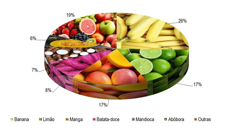 Gráfico 1 - Principais espécies cultivadas no projeto Jaíba, de acordo com o VBP, no ano de 2023.png