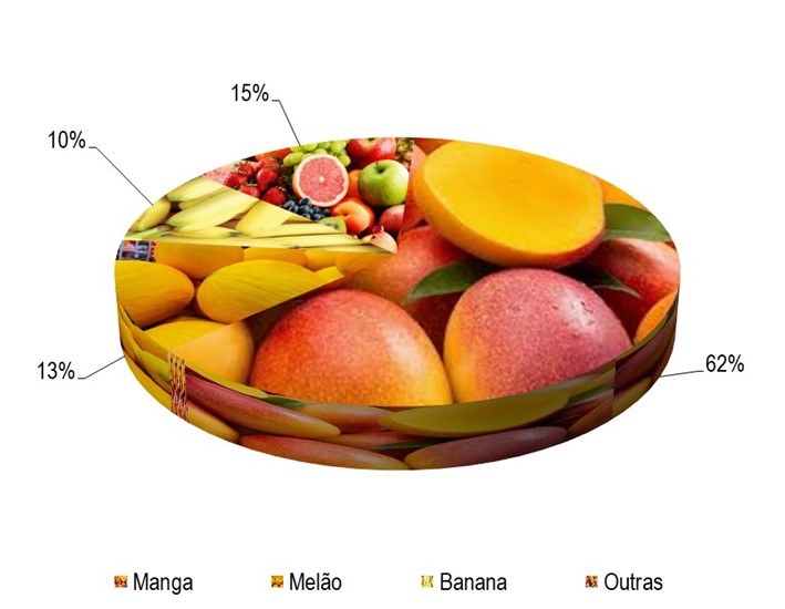 Gráfico 1 - Principais espécies cultivadas no projeto Mandacaru, de acordo com o VBP, no ano de 2023.png