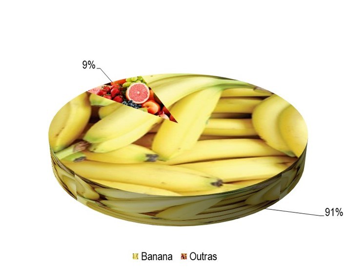 Gráfico 1 - Principais espécies cultivadas no projeto Mirorós, de acordo com o VBP, no ano de 2023.png