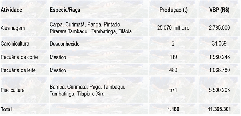 Tabela 1 – Espécie, produção e VBP da aquicultura no ano de 2023.png