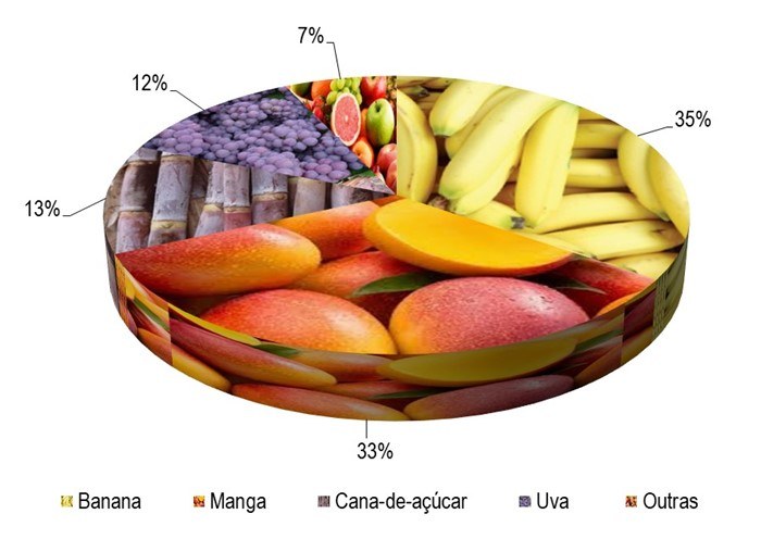 Gráfico 1 - Principais espécies cultivadas no projeto Salitre, de acordo com o VBP, no ano de 2023.png