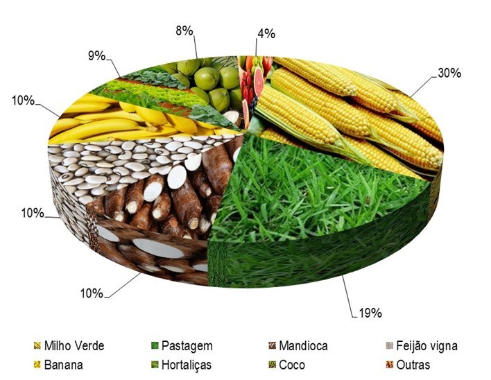 Gráfico 1 - Principais espécies cultivadas no projeto São Desidério-Barreiras Sul, de acordo com o VBP2023.png Gráfico 1 - Principais espécies cultivadas no projeto São Desidério-Barreiras Sul, de acordo com o VBP2023.png