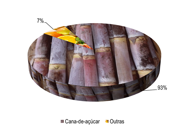 Gráfico 1 - Principais espécies cultivadas no projeto Tourão, de acordo com o VBP, no ano de 2023.png