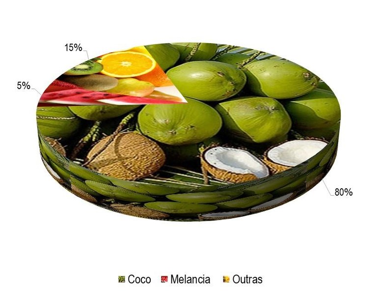 Gráfico 1 - Principais espécies cultivadas no projeto Barreiras, de acordo com o VBP, no ano de 2023.jpg Gráfico 1 - Principais espécies cultivadas no projeto Barreiras, de acordo com o VBP, no ano de 2023.jpg