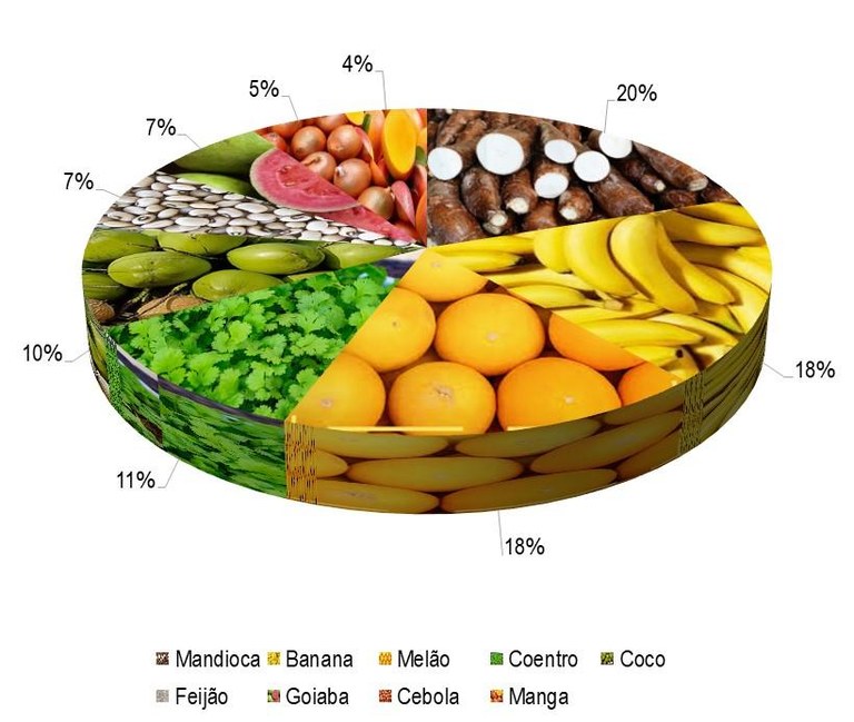 Gráfico 1 - Principais espécies cultivadas no projeto Manga de Baixo, de acordo com o VBP, no ano de 2023.jpg Gráfico 1 - Principais espécies cultivadas no projeto Manga de Baixo, de acordo com o VBP, no ano de 2023.jpg