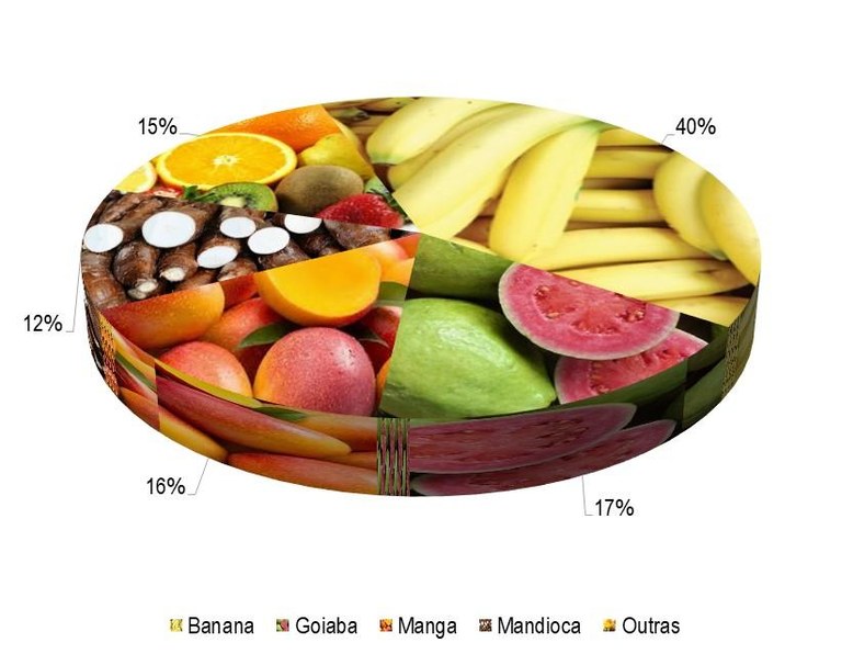 Gráfico 1 - Principais espécies cultivadas no projeto Pedra Branca, de acordo com o VBP, no ano de 2023.jpg Gráfico 1 - Principais espécies cultivadas no projeto Pedra Branca, de acordo com o VBP, no ano de 2023.jpg