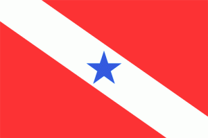 Bandeira PA
