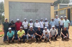 Produção de própolis verde no Alto Jequitinhonha fortalece apicultura regional