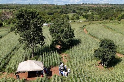 dIA DE cAMPO mg