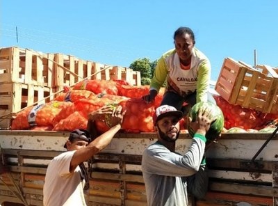 Cooperados carregando o caminhão com produtos para as escolas da região.jpg