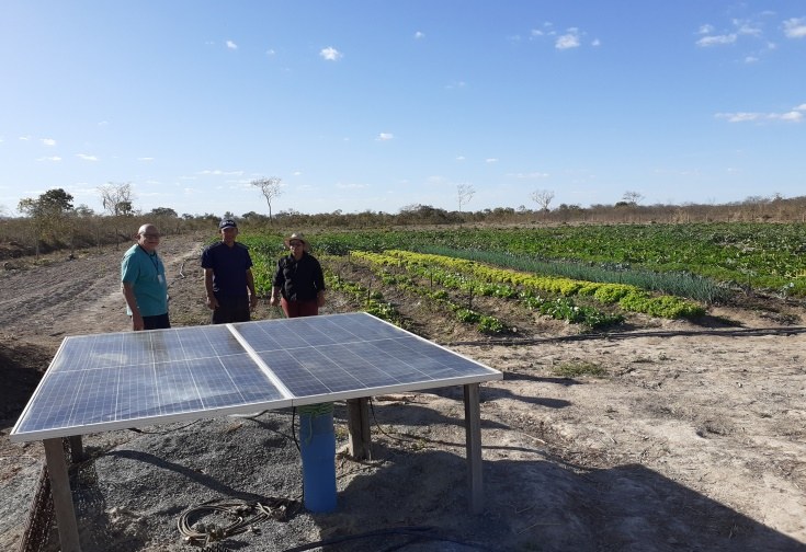 Figura 1 - Visita de técnicos da Codevasf - DF e Emater – GO a produtor de hortaliças com kit irrigado de poço utilizando-se de energia solar - Flores de Goiás-Go – Setembro-2022.