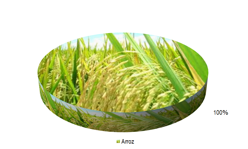 Gráfico 1 - Principais espécies cultivadas no projeto Betume, de acordo com o VBP, no ano de 2022. Há domínio absoluto do cultivo temporário. A produção de arroz é praticada em todo o projeto.