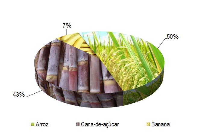 Gráfico 1 - Principais espécies cultivadas no projeto Boacica, de acordo com o VBP, no ano de 2022. Em 2022 houve predominância no cultivo do arroz, que representou 50% do VBP, seguido pela cana-de-açúcar (43%) e pela banana (7%). Nesse período, essas culturas corresponderam, respectivamente, a 65%, 34% e 1% da área cultivada.