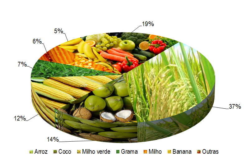 Gráfico 1 - Principais espécies cultivadas no projeto Cotinguiba-Pindoba, de acordo com o VBP, no ano de 2022. A cultura mais representativa no projeto é o arroz, que ocupa 58% da área cultivada e que foi responsável por 37% do VBP em 2022. Em seguida, as principais culturas são: coco (14%), milho verde (12%), grama (7%), milho para silagem (6%) e banana (5%). As demais culturas, juntas, participaram com 19% do VBP total.