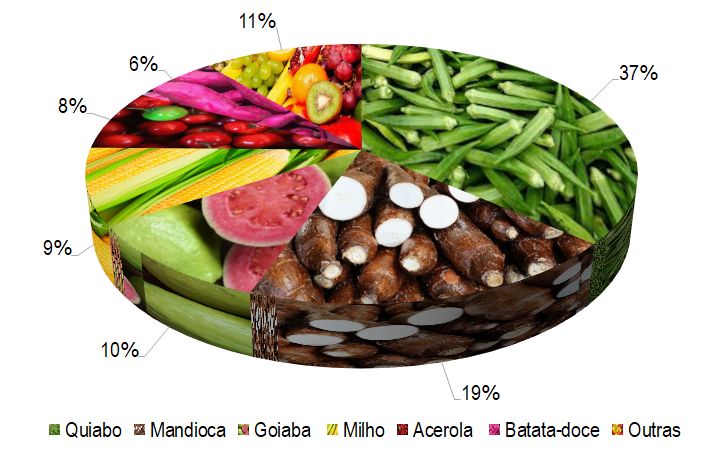 Gráfico 1 - Principais espécies cultivadas no projeto Jacaré-Curituba, de acordo com o VBP, no ano de 2022. Por ser um projeto ainda nos primeiros anos de operação, as principais culturas ainda são as temporárias, com destaque para o quiabo, amplamente cultivado na região, que foi responsável por 37% do VBP. A mandioca é a segunda cultura de maior importância, representando 19% do VBP, seguida pela goiaba (10%), milho verde (9%), acerola (8%), batata-doce (6%) e outras culturas (11%). O VBP do Jacaré-Curituba foi de R$ 12.635.701,16 em uma área cultivada de 1.213 hectares, gerando uma renda bruta de R$ 10.413,72 por hectare cultivado.