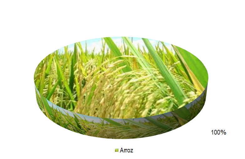 Gráfico 1 - Principal cultura no projeto Propriá, de acordo com o VBP, no ano de 2022. Como mostra a Gráfico 1, no projeto Propriá há apenas o cultivo de arroz, com uma área cultivada total de 918 hectares. Não há lotes empresariais no projeto.