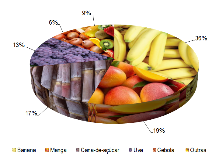 Gráfico 1 - Principais espécies cultivadas no projeto Salitre, de acordo com o VBP, no ano de 2022. Os principais cultivos do projeto foram a banana, a manga, a cana-de-açúcar, a uva, e a cebola, representando 36%, 19%, 17%, 13%, e 6% do VBP total, respectivamente.