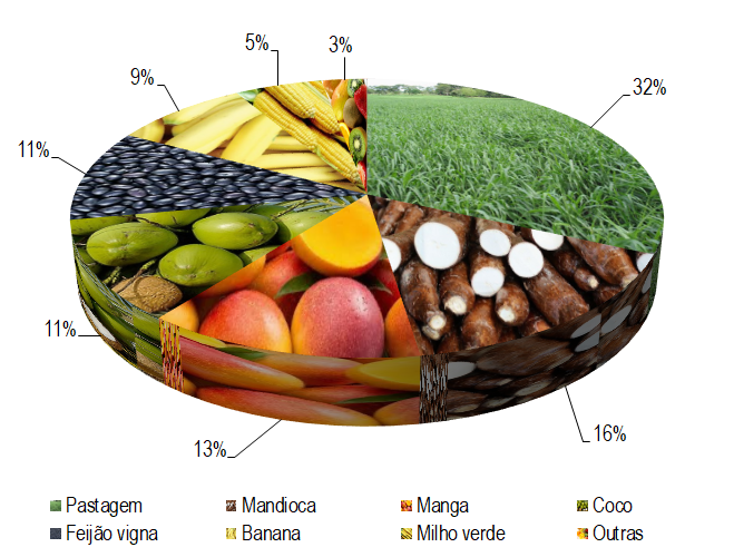 Gráfico 1 - Principais espécies cultivadas no projeto São Desidério-Barreiras Sul, de acordo com o VBP. Em termos de Valor Bruto de Produção (VBP) há predominância do cultivo de pastagens que representaram 32% do total, seguida pela mandioca (16%), manga (13%), coco (11%) e o feijão vigna (11%).
Entre as outras culturas produzidas no projeto estão a cultura da banana (9%), milho verde (5%) e outras (3%). No entanto, a área cultivada com essas culturas correspondeu apenas a 7% da área total, em 2022.