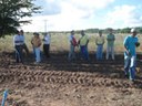 dia-de-campo-amendoim160