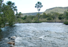 rio-ondas