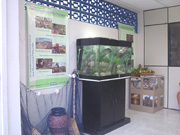expoese
