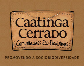 caatingacerrado