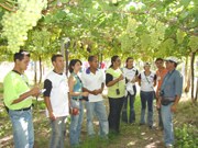 visitas-tecnicas1