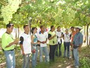 visitas-tecnicas1