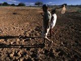 160agricultores-vao-receber-terra-do-salitre