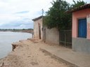 gameleira-160