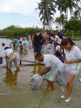 160estudantes-realizam-peixamento-na-apa-da